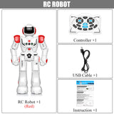 Remote Control Robot RC