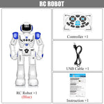 Remote Control Robot RC